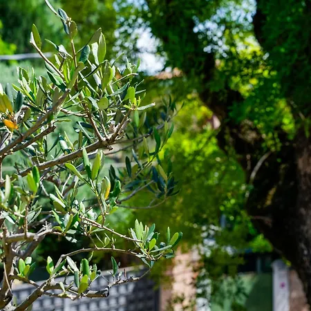 게스트하우스 Babette 4*