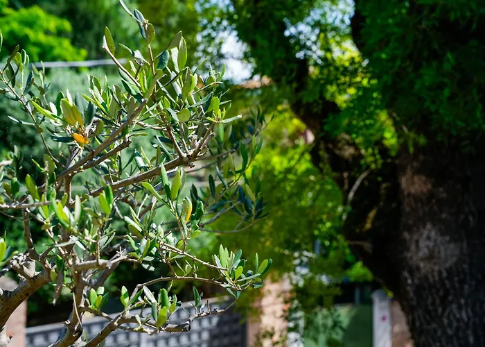 Affittacamere Babette 4*